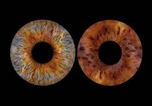 Delphine BURTON - Delphine Burton photographe